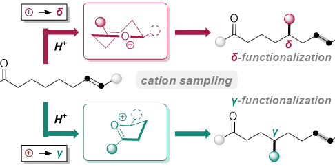 Schematic overview of the concept of cation sampling