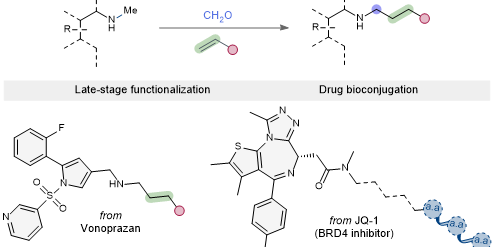 Alkyl-swap method for the functionalization of secondary N-methylamines